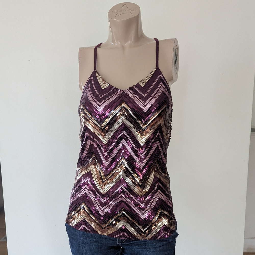 Dynamite Sequin Chevron Camisole in Purple and Gold